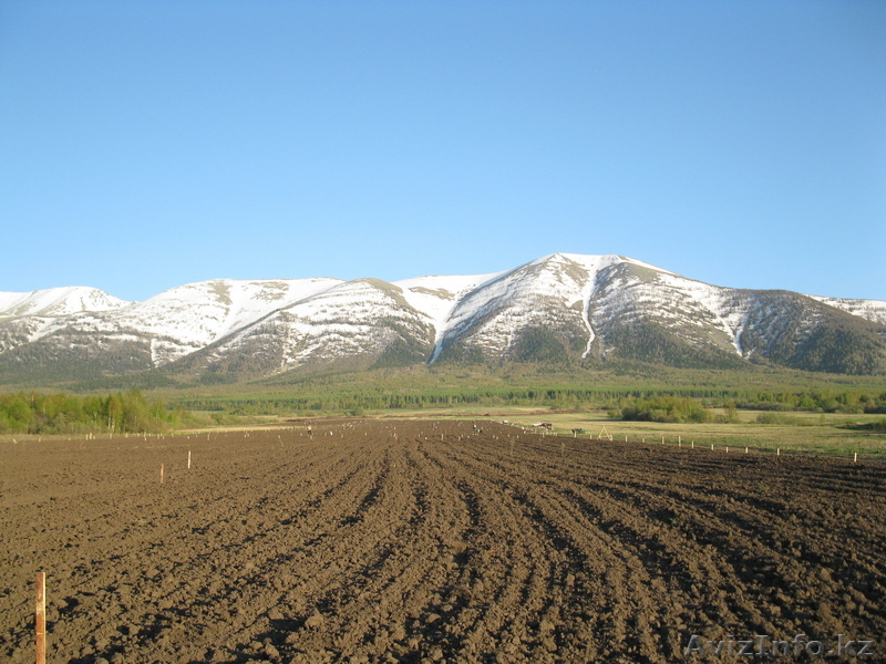 Земельный участок 63Га - Изображение #1, Объявление #64969