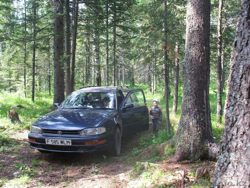 TOYOTA  SCEPTER универсал - Изображение #1, Объявление #292030