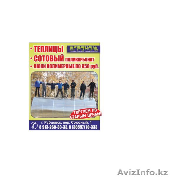 Теплицы, сотовый поликарбонат, люки полимерные - Изображение #1, Объявление #1226931