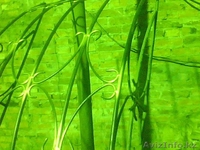 Изготовление и сборка металлоконструкций - Изображение #4, Объявление #383086