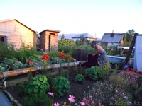 Добротный рубленный дом по хорошей цене. - Изображение #10, Объявление #1173781