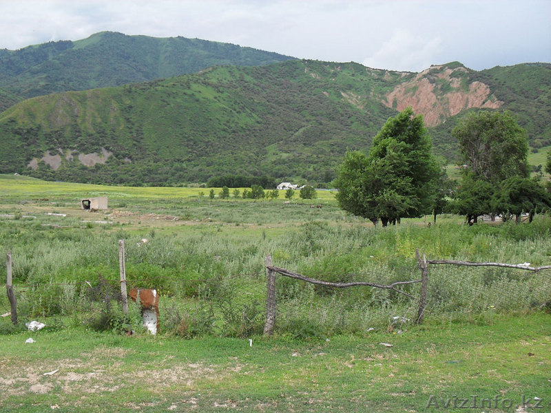 Участки в Тургенском ущелье - Изображение #1, Объявление #50055