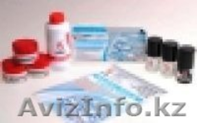 ООО "Центр технологий "Формула Профи" - Изображение #5, Объявление #561896