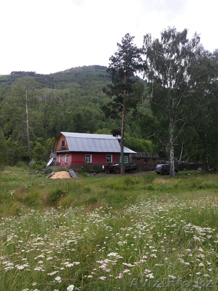 продаю дачу на Шаравке срочно! - Изображение #3, Объявление #938304