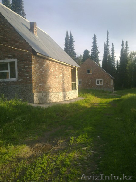 База отдыха "Кедровка" - Изображение #2, Объявление #1126466